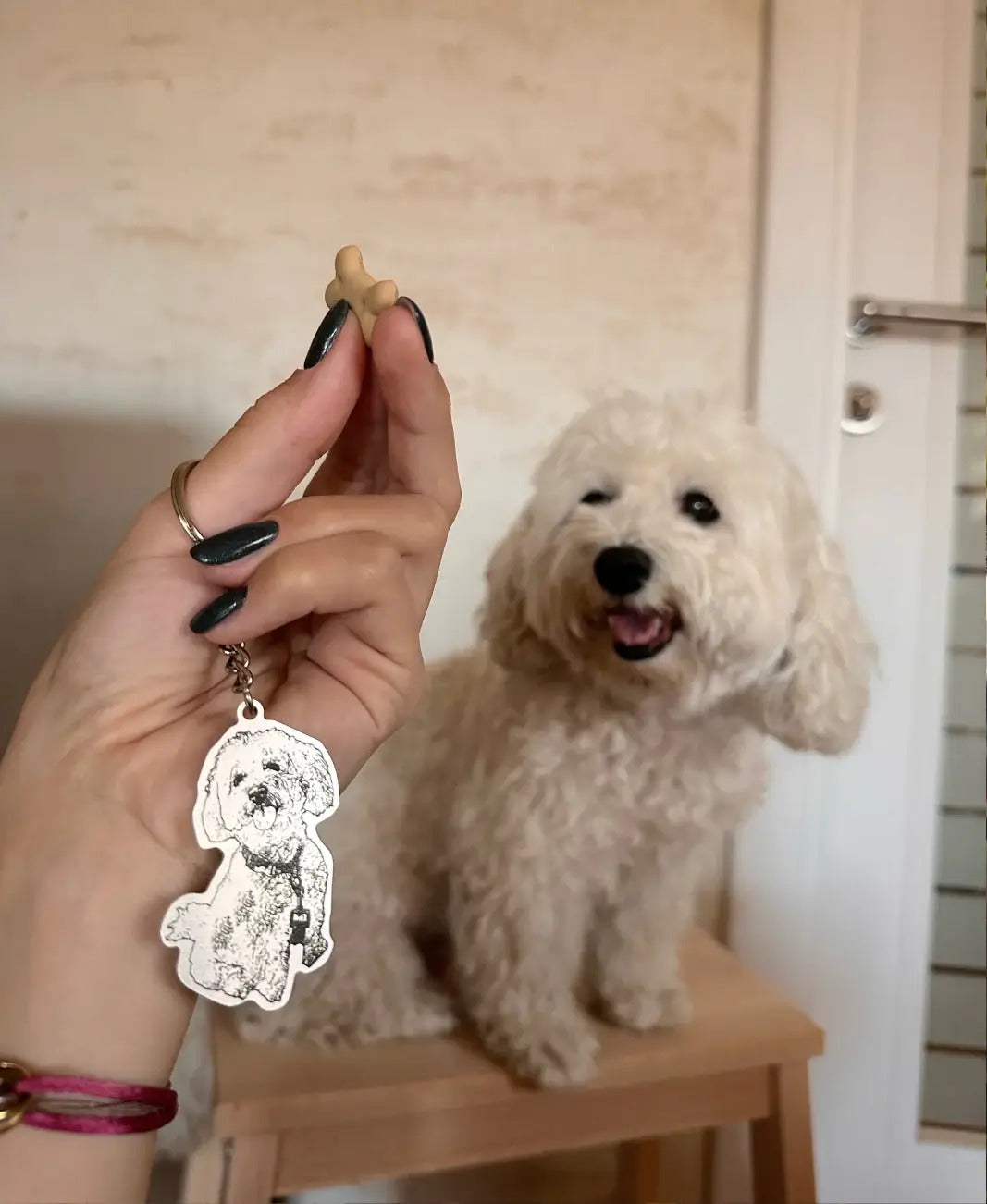 Ljubimac Na Vašem Dlanu