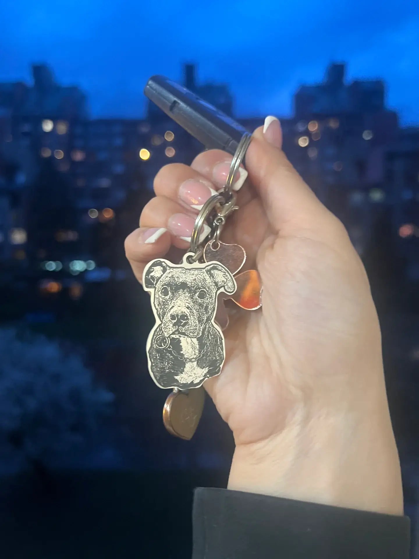 Ljubimac Na Vašem Dlanu